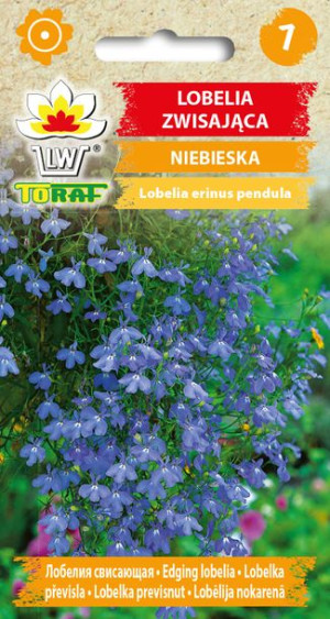 Lobelia zwisająca niebieska nasiona Lobelii zwisającej niebieskiej Toraf
