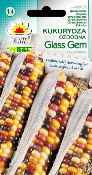 Kukurydza ozdobna Glass Gem wielobarwna nasiona Toraf