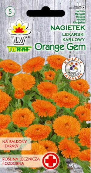 Nagietek karłowy Orange Gem Pomarańczowy nasiona Toraf
