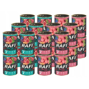 Dolina Noteci Rafi Junior mix smaków 24x 400g