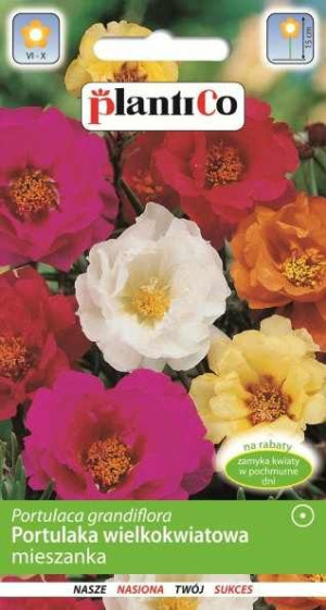 Portulaka wielkokwiatowa mieszanka MIX nasiona PlantiCo 0.5g