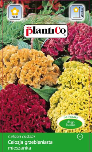 Celozja grzebieniasta mieszanka MIX nasiona Celozji PlantiCo 0.3g