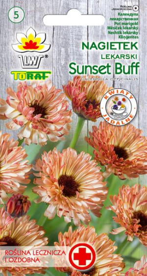 Nagietek lekarski Sunset Buff nasiona Nagietka lekarskiego 1g Toraf