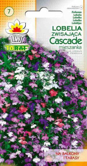 Lobelia Cascade zwisająca mix nasiona Lobelii zwisającej 0,1g Toraf