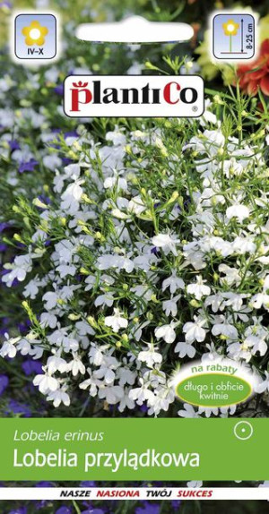 Lobelia przylądkowa BIAŁA nasiona PlantiCo 0.2g