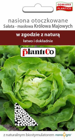 Sałata masłowa Królowa Majowych nasiona otoczkowane Plantico