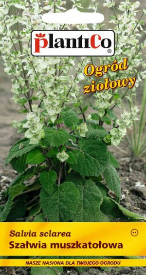 Szałwia muszkatołowa nasiona PlantiCo 0.5g
