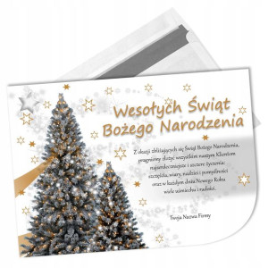 Firmowa Kartka Święta Boże Narodzenie + Koperta Y9