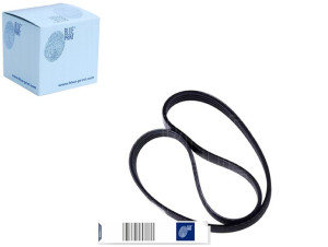 Pasek Wielorowkowy (4pk673) Blue Print