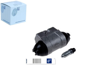 Cylinderek Hamulcowy Hyundai Blue Print