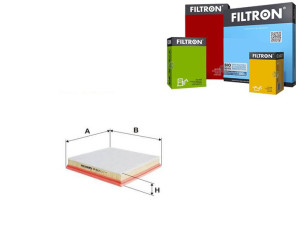 Filtr Powietrza Filtron
