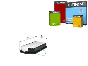 Filtr Powietrza Hyundai Filtron