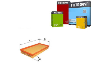Filtr Powietrza Ldv Filtron