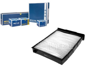 Filtr Kabiny Renault Megane Scenic 02- Meyle