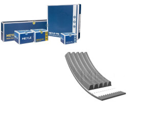 Pasek Wielorowkowy (5pk1255) Meyle