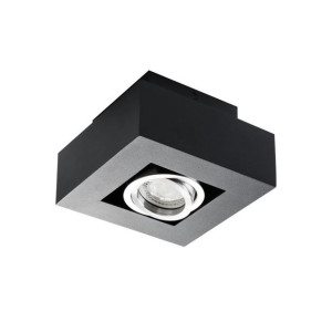 Oprawa sufitowa STOBI DLP 50-B