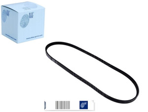 Pasek Wielorowkowy (3pk842) Blue Print