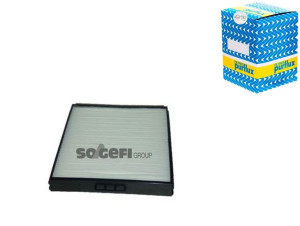 Filtr Kabiny Hyundai Accent 00- Purflux