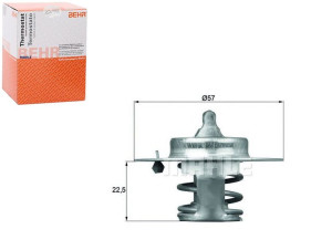 Termostat Peugeot Citroen Fiat Behr