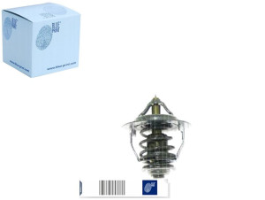 Termostat Hyundai Blue Print