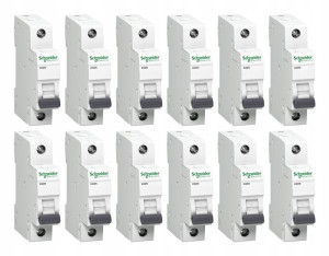 12x Schneider Wyłącznik nadprądowy bezpiecz B20A 1P A9K01120