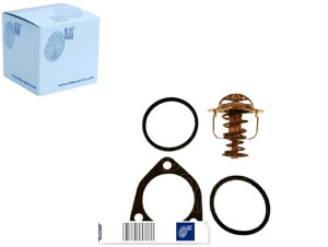 Termostat Blue Print