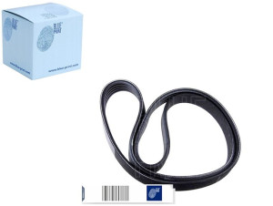 Pasek Wielorowkowy (5pk1775) Blue Print