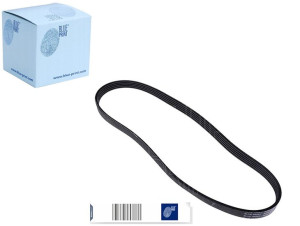Pasek Wielorowkowy (5pk898) Blue Print
