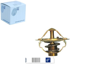 Termostat Nissan Blue Print
