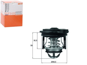 Termostat Ford Behr