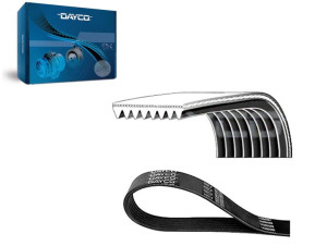 Pasek Klinowy Wielorowkowy [dayco]