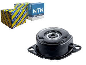 Napinacz Paska Wielorowkowego Bmw 3 (e46) 5 (e60)