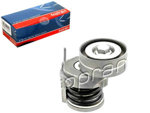Napinacz Paska Wielorowkowego Audi A1 Seat Alhambr