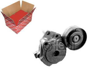 Napinacz Paska Wielorowkowego Audi A1 Seat Alhambr