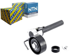 Napinacz Paska Wielorowkowego Audi A3 Tt Seat Alha
