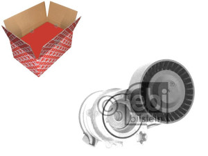 Napinacz Paska Wielorowkowego Bmw 3 (e46) 5 (e39)