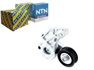 Napinacz Paska Wielorowkowego Audi Tt Ford Galaxy