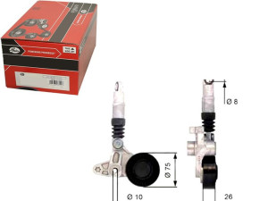 Napinacz Paska Wielorowkowego Audi A4 A6 A6 Allroa