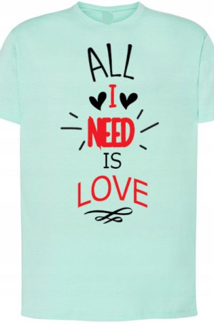 All I Need Is Love T-Shirt Walentynki r.XXL