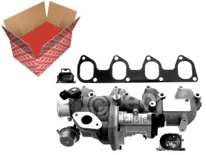 Kolektor Ssący (z Zaworem Egr) Ford Tourneo Connec