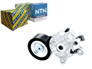 Napinacz Paska Wielorowkowego Audi A1 A3 Seat Alte