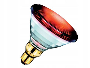 Promiennik Podczerwieni Lampa Kwoka 150w Philips