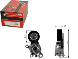 Napinacz Paska Wielorowkowego Audi A1 A3 Seat Alte