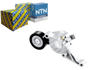 Napinacz Paska Wielorowkowego Audi A3 Seat Alhambr