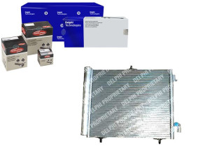 Skraplacz Klimatyzacji Citroen C2 C3 Delphi
