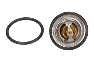 Termostat Ford Zetec 82c Maxgear