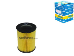 Filtr Powietrza Ford 1,6 2,0td Purflux