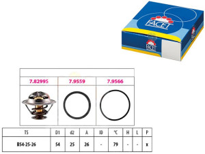 Termostat Facet 4837166 98463637 9161123 4500823