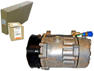 Sprężarka Klimatyzacji Behr Hella 7d0820805 67524