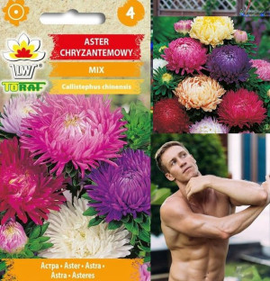 Aster chryzantemowy MIX DUŻYCH KWIATÓW 1 g